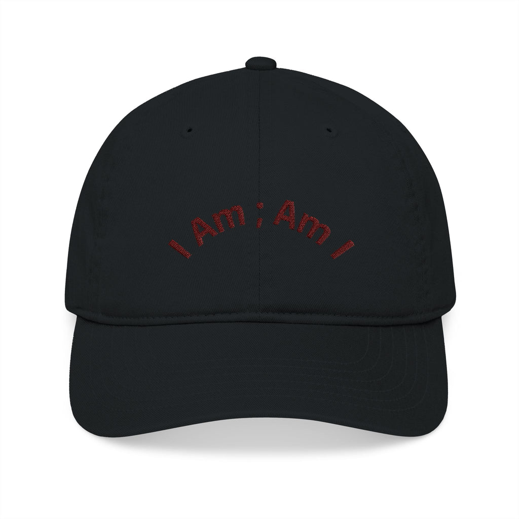 Embroidered 'I Am; Am I' Organic Baseball Cap — Minimalist Spiritual Dad Hat