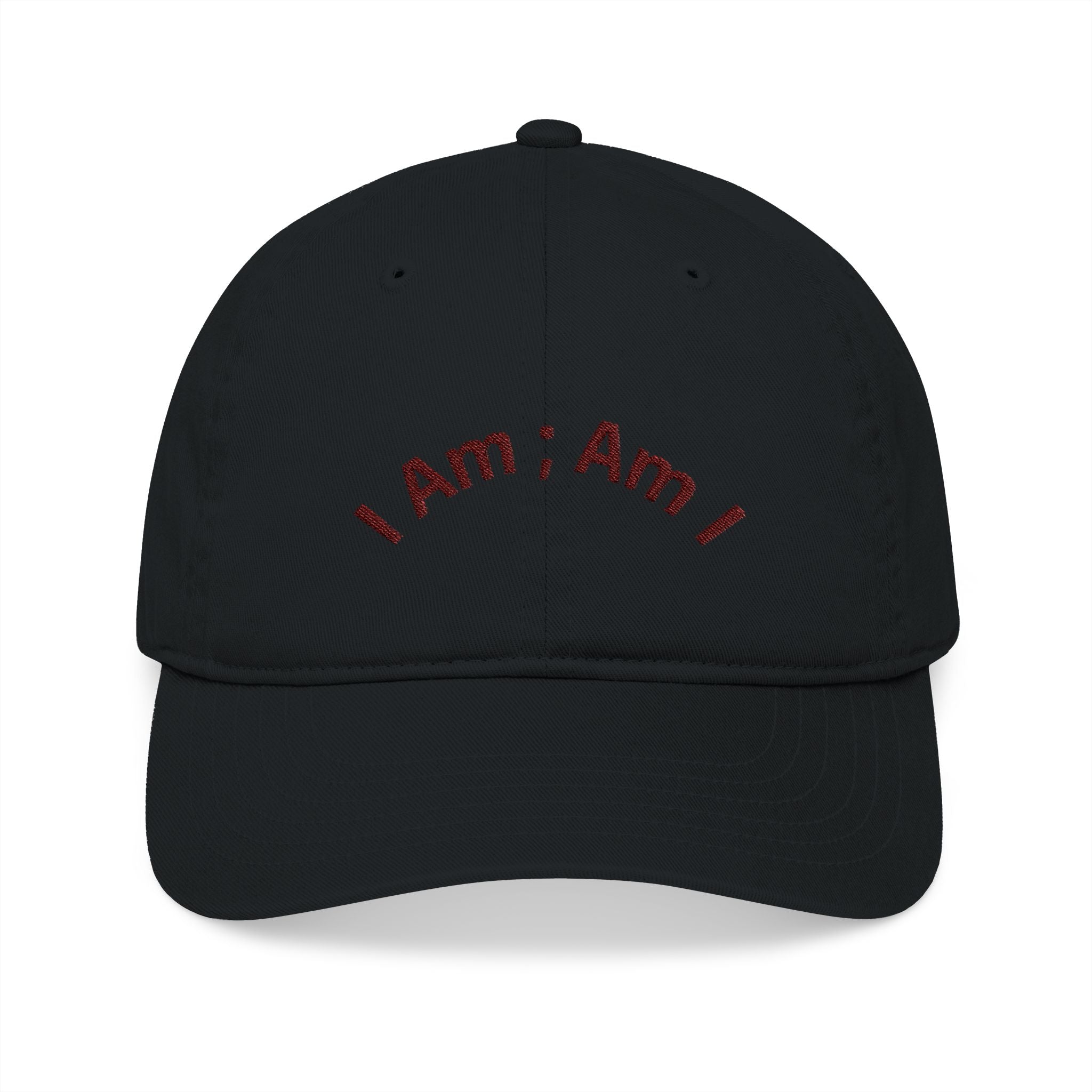 Embroidered 'I Am; Am I' Organic Baseball Cap — Minimalist Spiritual Dad Hat